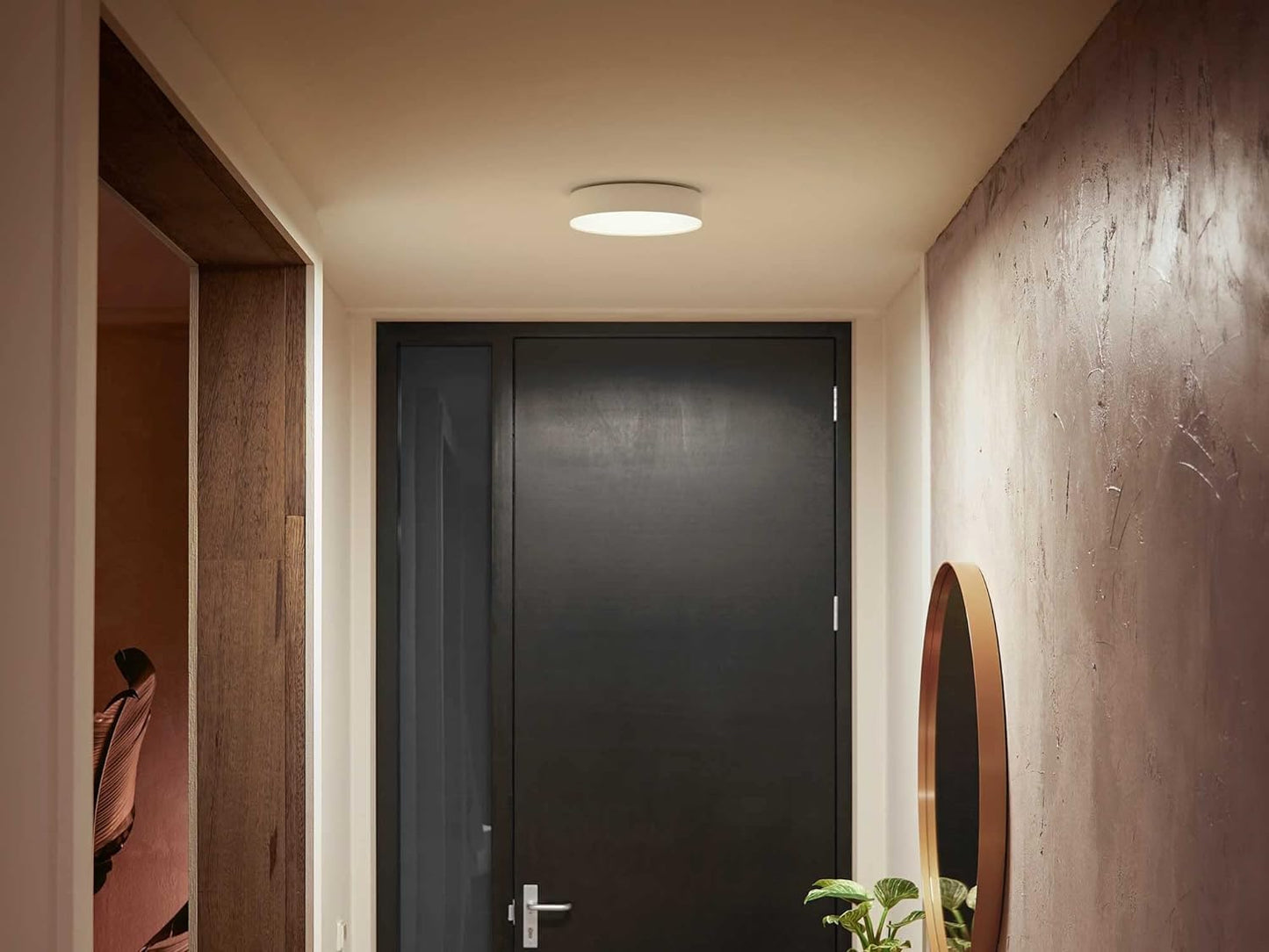 - Philips Hue NEW Infuse White and Colour Ambiance Smart Ceiling Light -