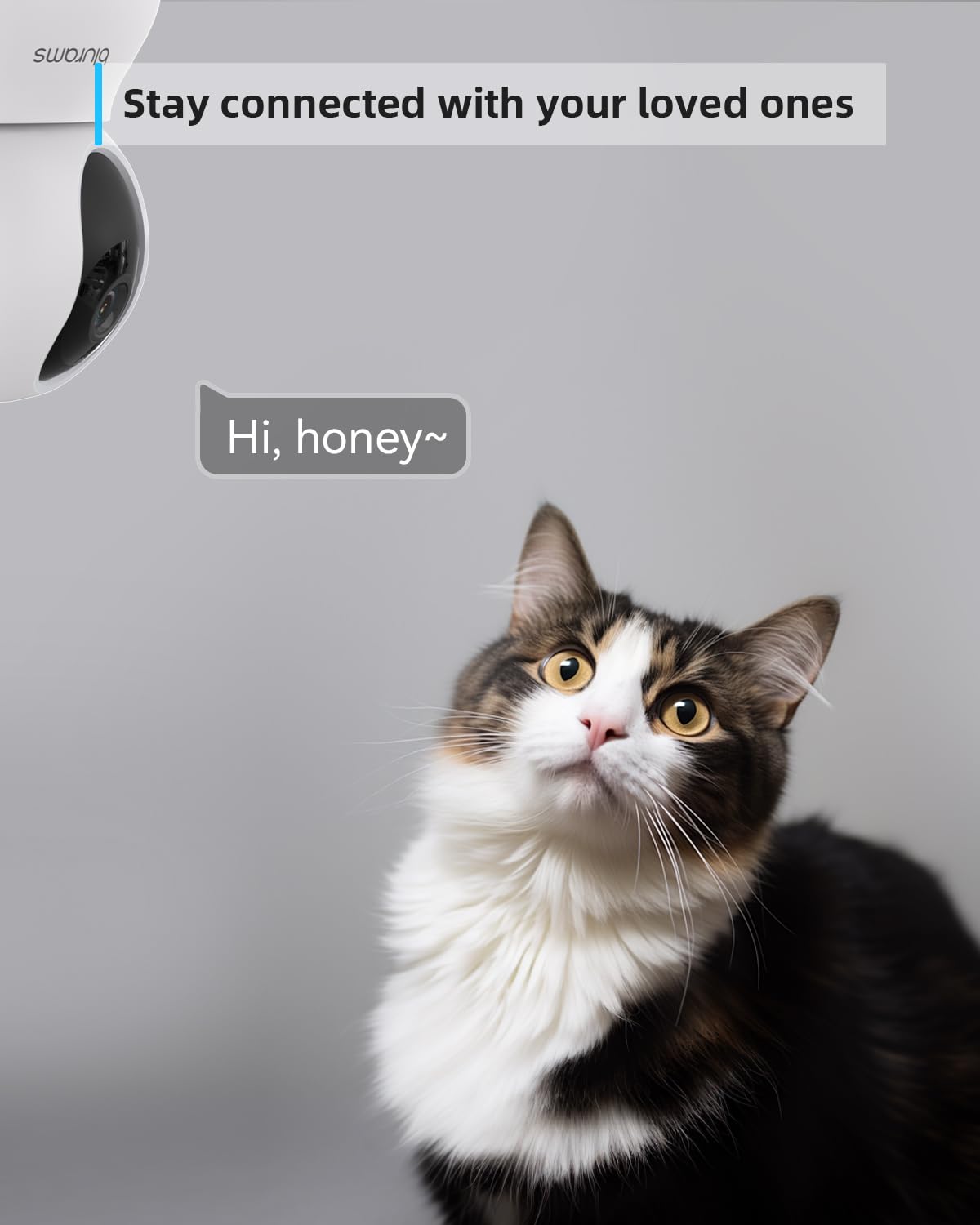 blurams Pet Camera 2K, Indoor Camera, Dog Camera, 360° Home Security Camera, WiFi Baby Monitor, Night Vision, Motion Tracking, 2-Way Talk, Cloud&SD, APP Control, Works with Alexa(2.4GHz Only)