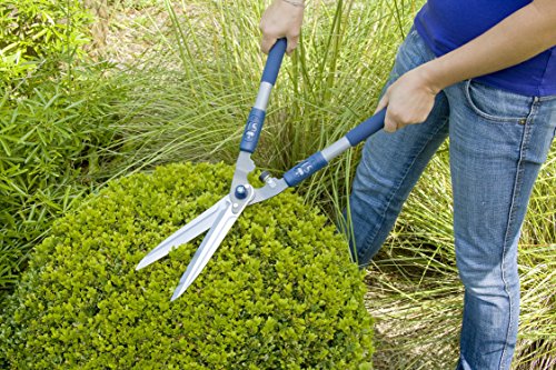 - Spear & Jackson 4862RSA | Razorsharp Active Soft-Grip Hand Shears -