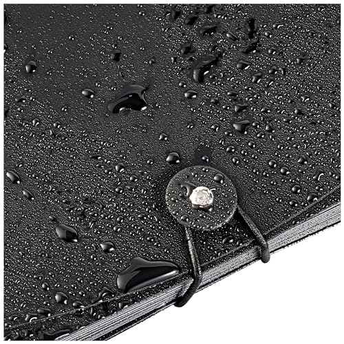 Amazon Basics Expanding File, A4 Size - Black