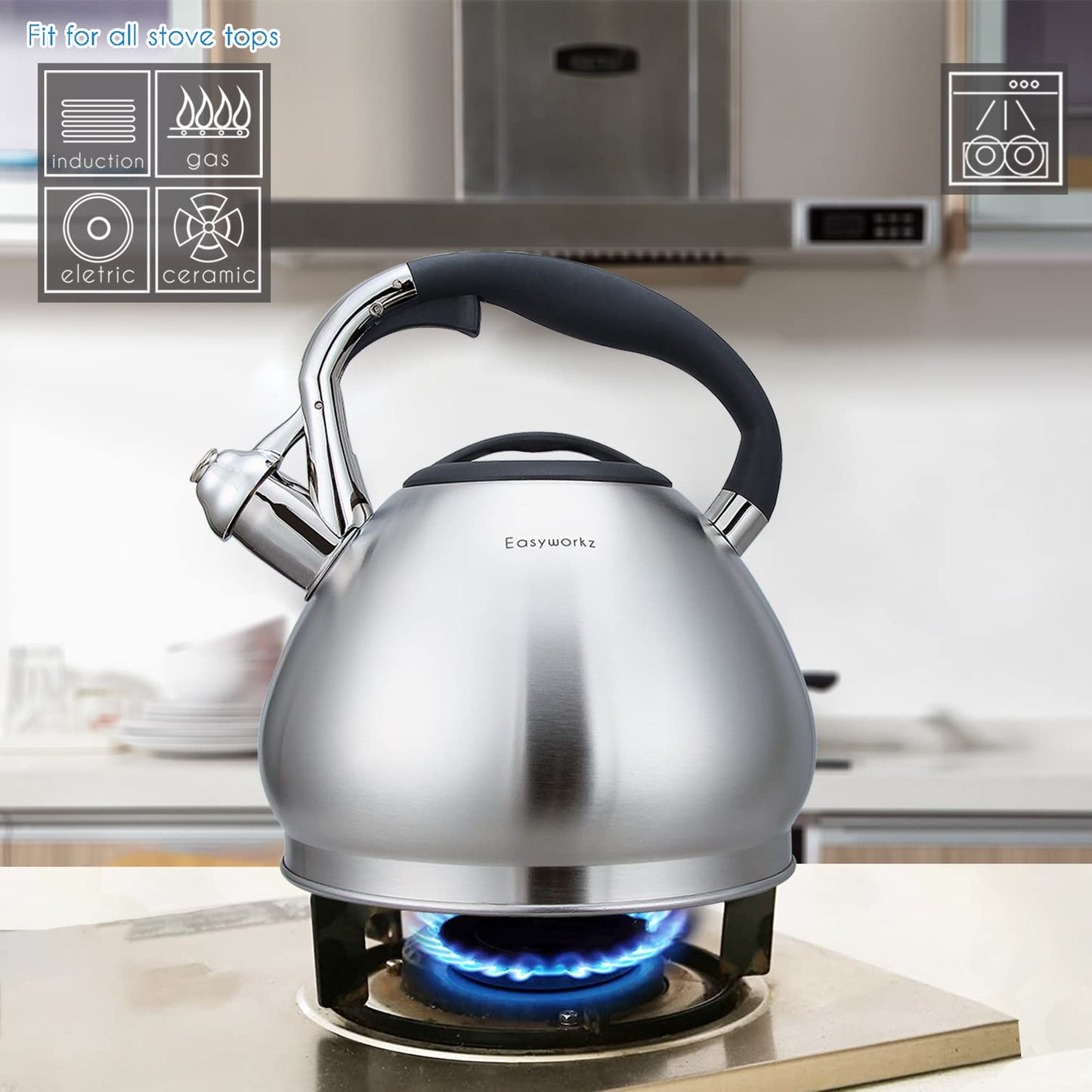 - Easyworkz Whistling Stovetop 3.0l Tea Kettle -