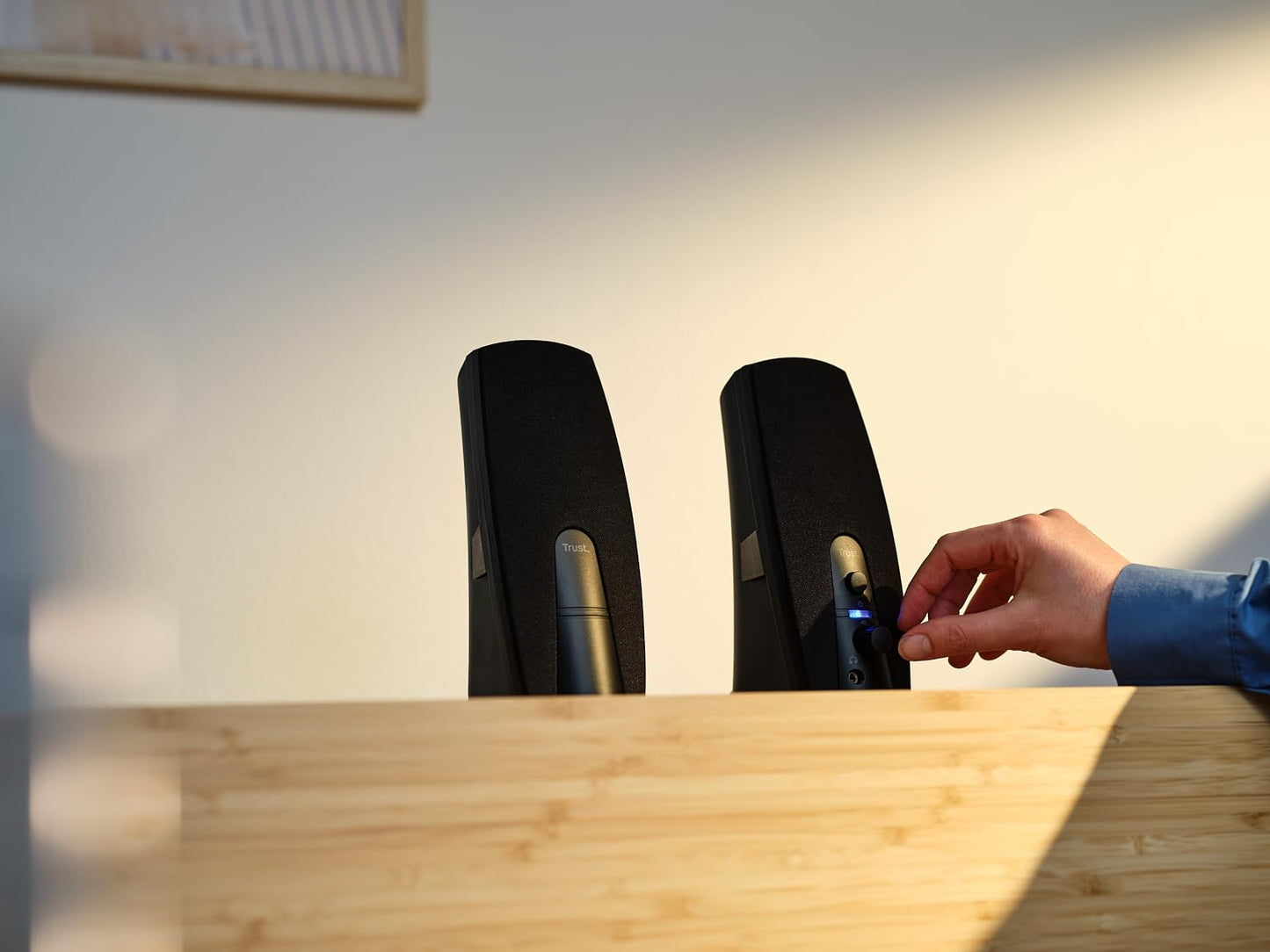 - Trust Almo 2.0 PC Speaker Set | 10 W Peak Power | USB Powered Sound System -