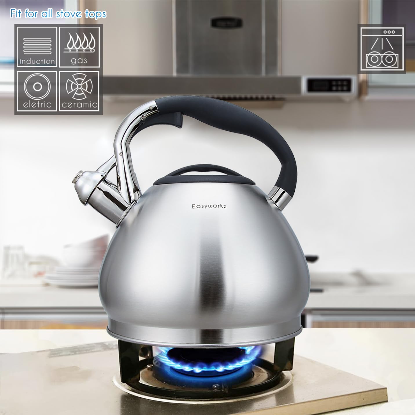 - Easyworkz Whistling Stovetop 3.0l Tea Kettle -