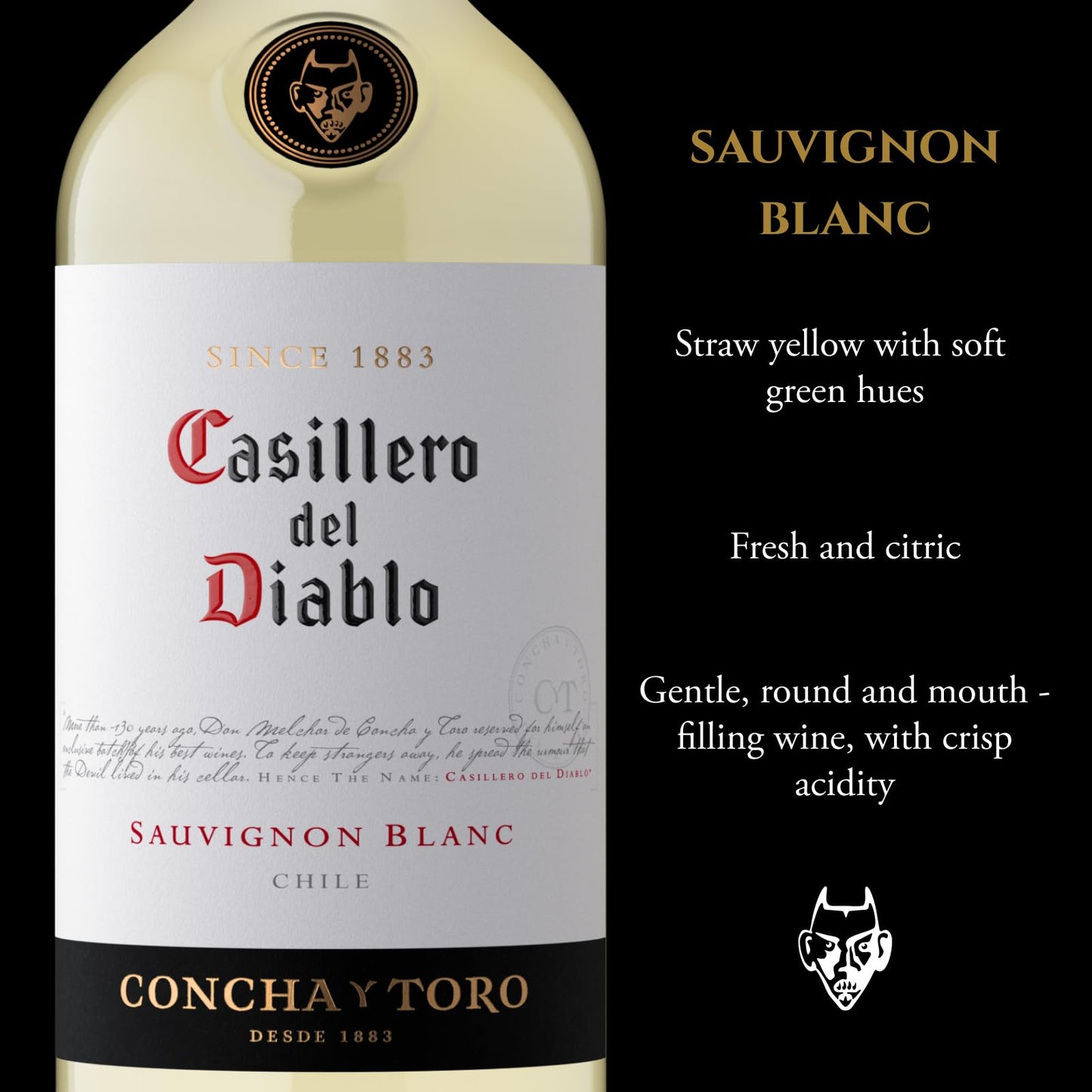 Casillero del Diablo Sauvignon Blanc White Wine | Chile, Fresh & Fruity (Case of 6 x 75cl)