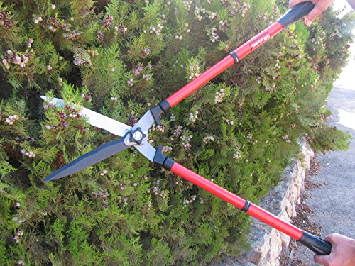 - TABOR TOOLS | Mechanical Extendable Hedge Shears | Manual Hedge Clippers -