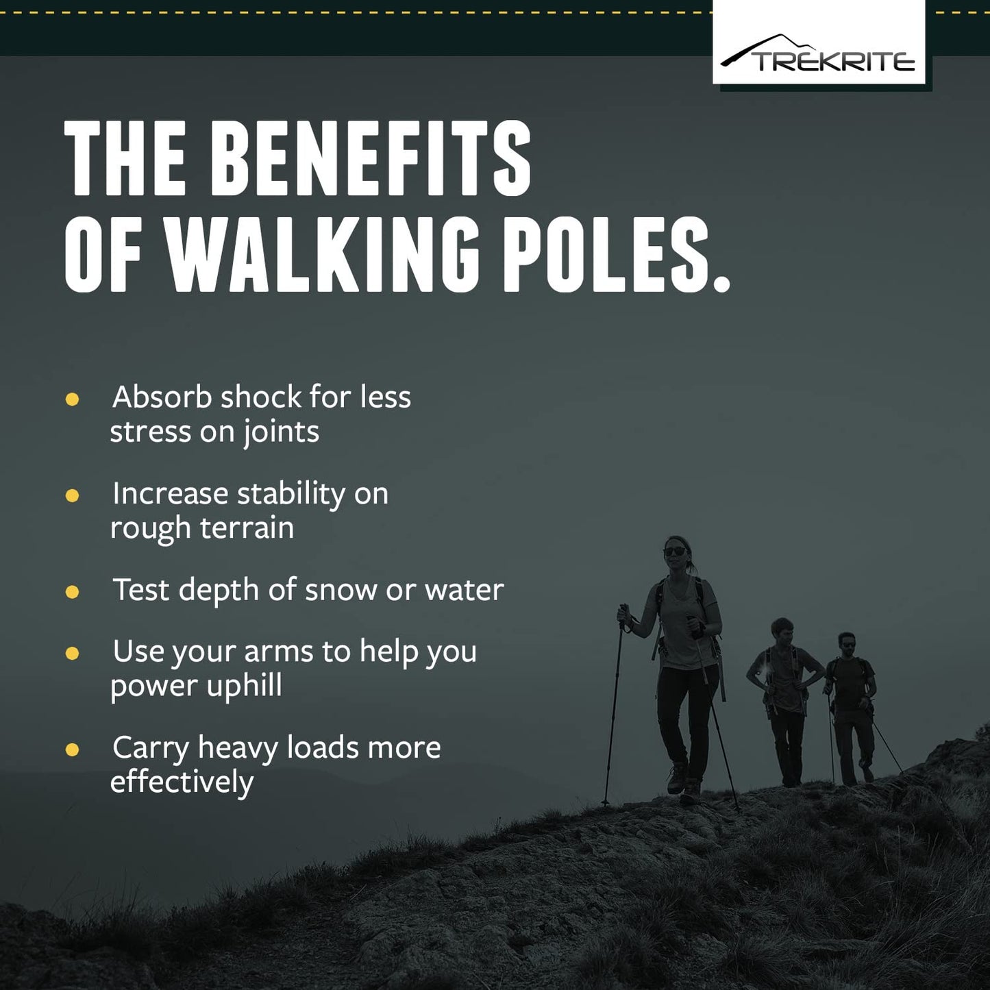 - Trekrite Telescopic Walking Poles Set | Adjustable and Lightweight Aluminium -