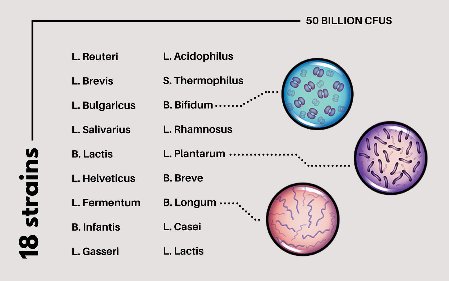 - Powerful 50 Billion CFU Probiotics | 18 Strains | Stomach Acid Resistant | Shelf Stable -