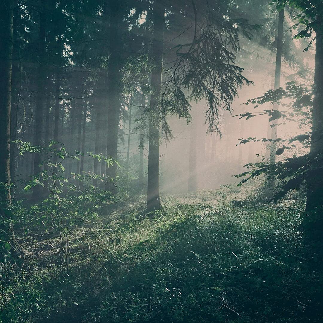 - Skandinavisk | Hibernate Giftset of 3 Mini Scented Candles -