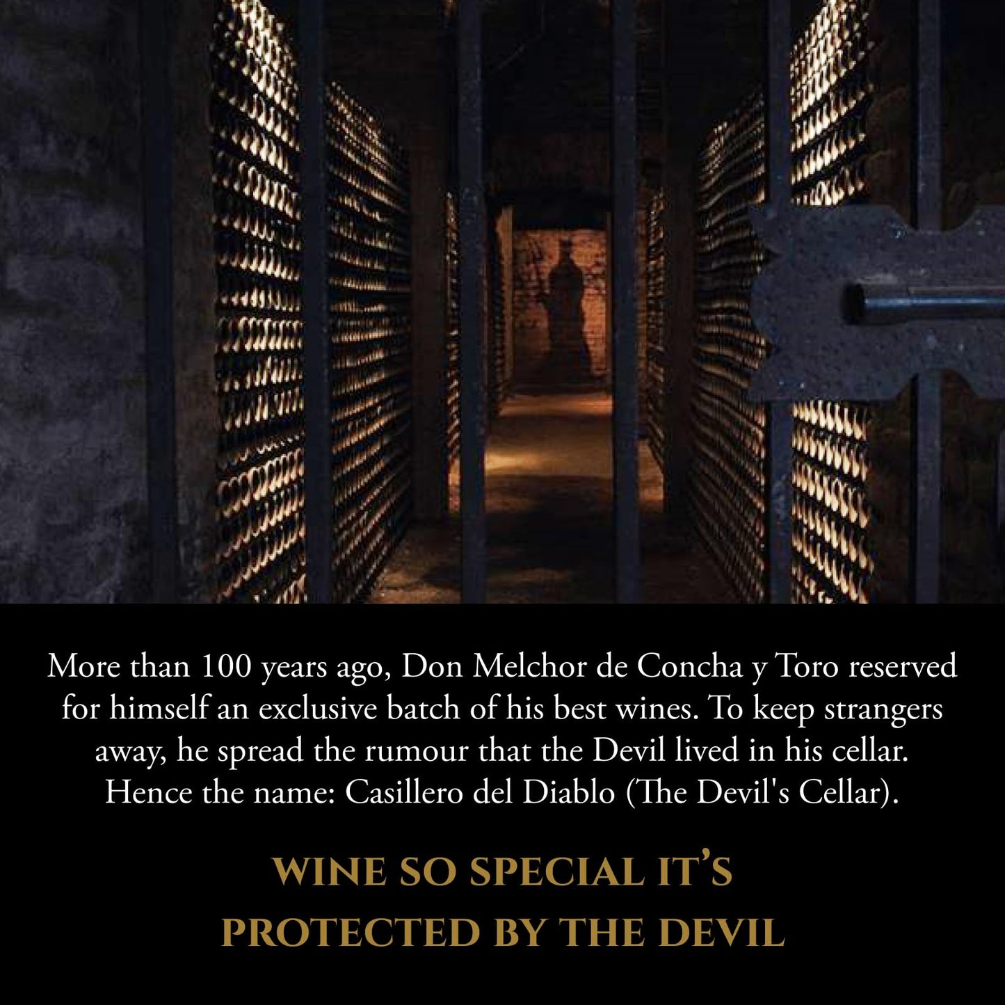 Casillero del Diablo Merlot Red Wine, Chile, Silky Smooth & Medium Bodied (Case of 6 x 75cl)