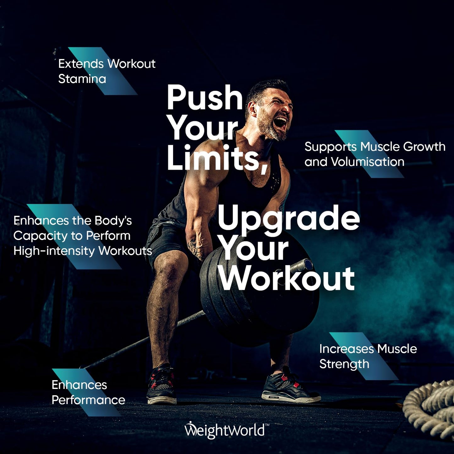 Creatine Monohydrate Powder 500g - Micronised, Unflavoured & Vegan - Pure Creatine Powder for Performance & Muscle Strength - Creatine Nutritional Supplements for Post & Pre Workout - 165 Servings