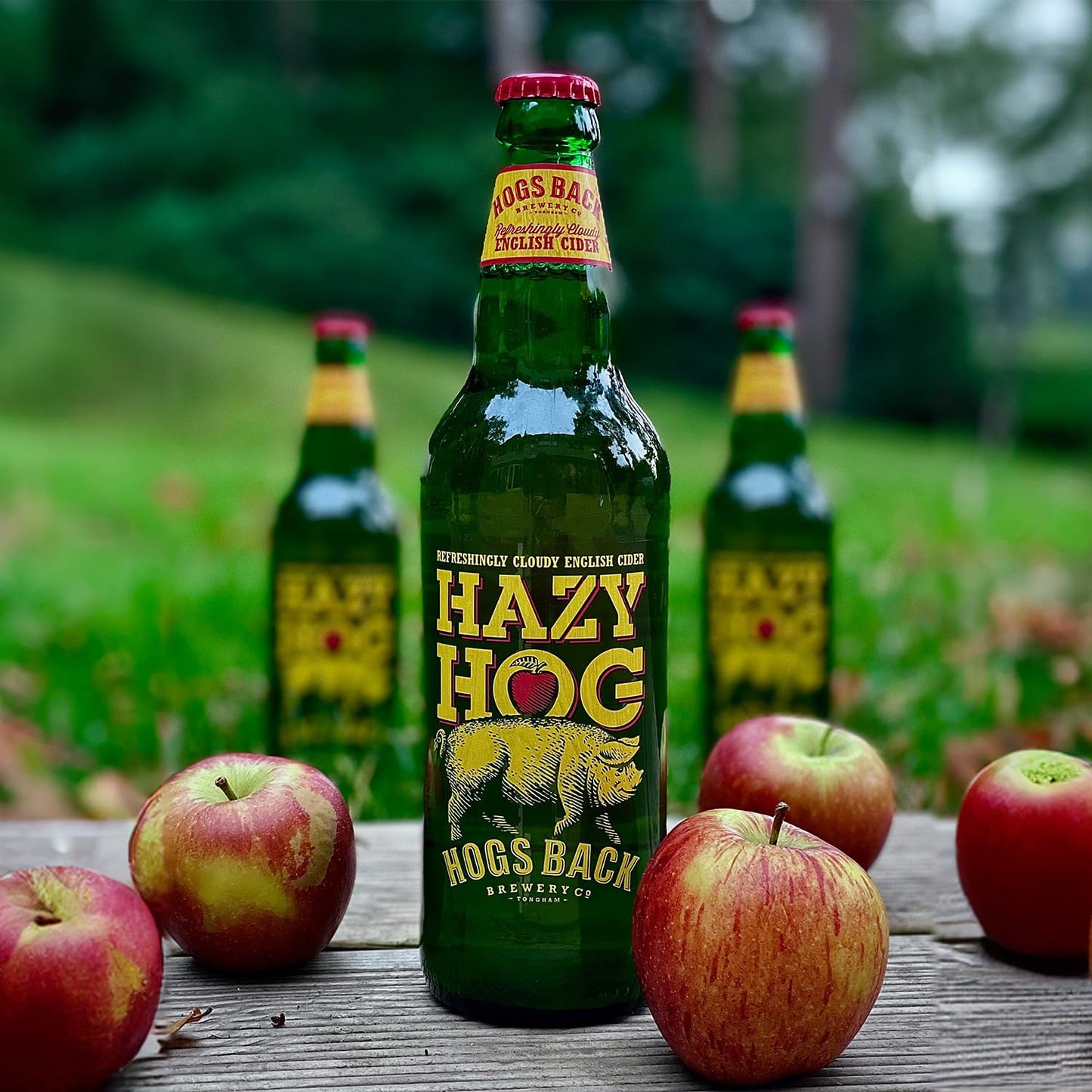 - HOGS BACK BREWERY Bottle Cider Gift Set with Cider Glass | Hazy Hog Cider | 5% | 2 x 500ml Bottles -