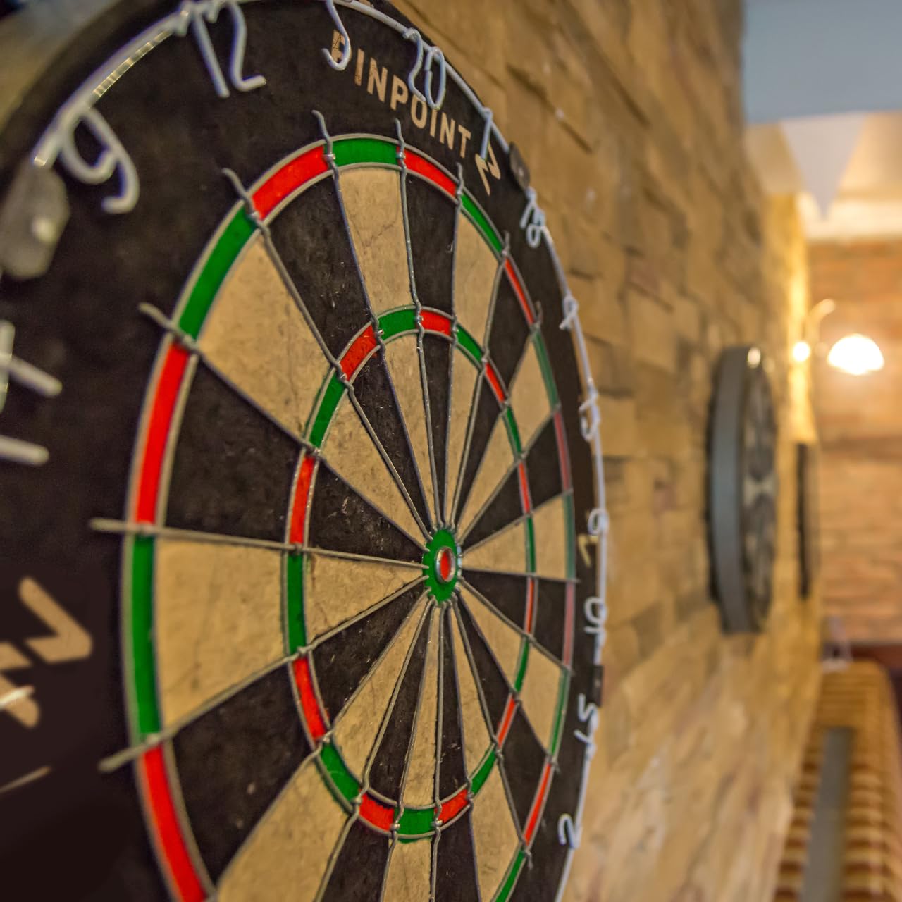 - PINPOINT World Series Professional Dartboard | Bristle Dart Board -