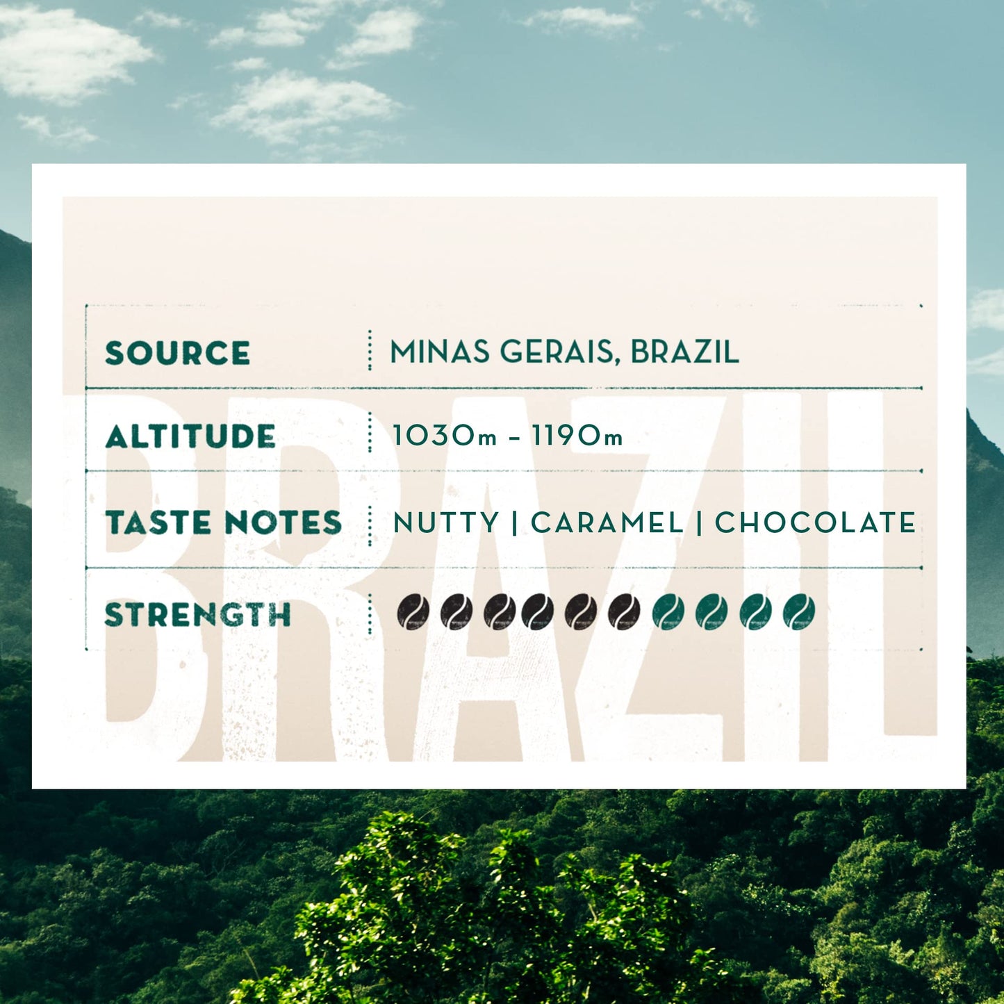 Caffè Nero - Brazil Blend Coffee Beans - Medium Roast - 1.2KG (6 x 200g Bulk Pack)