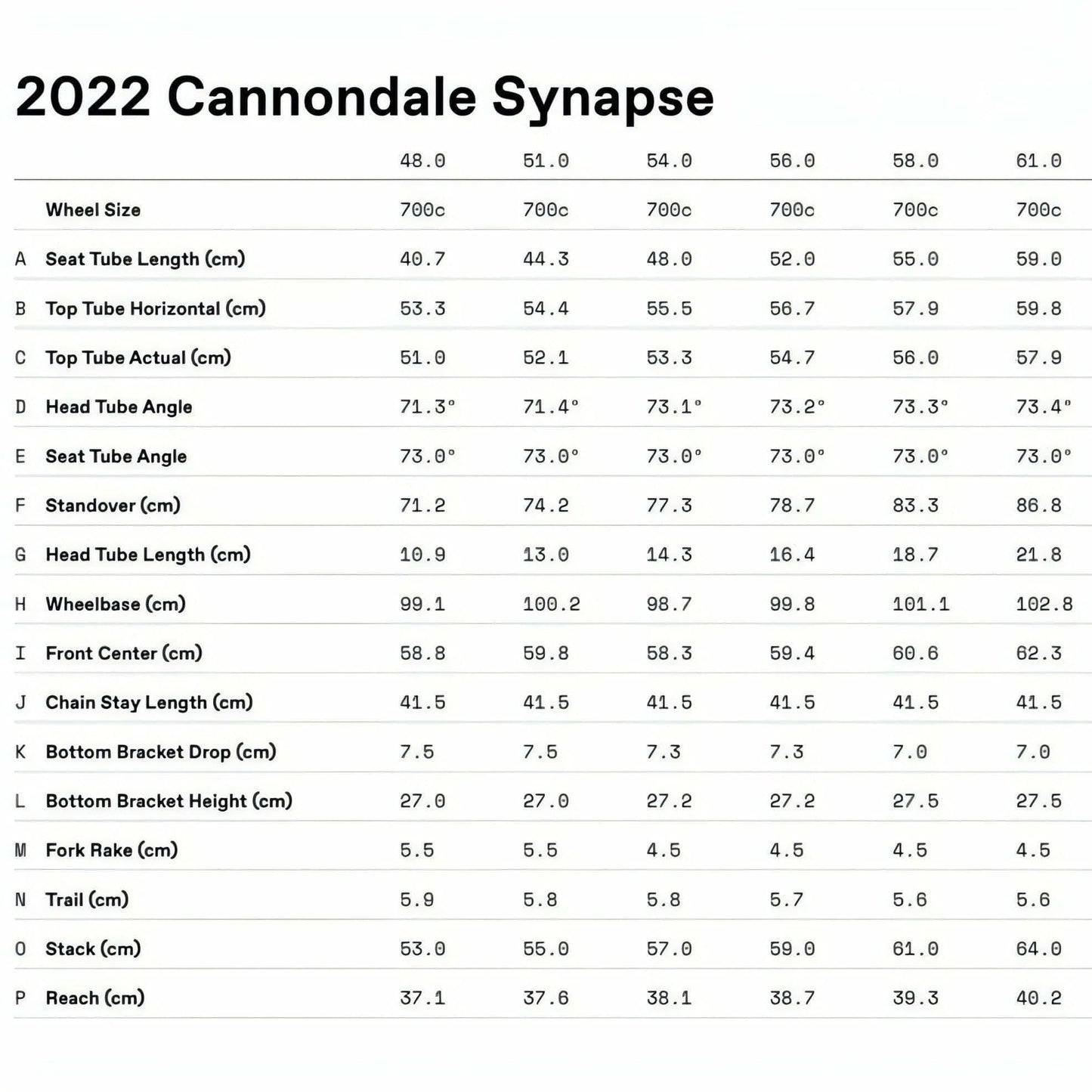 Cannondale Synapse Carbon 4 Road Bike 2024 - Pine - 51cm