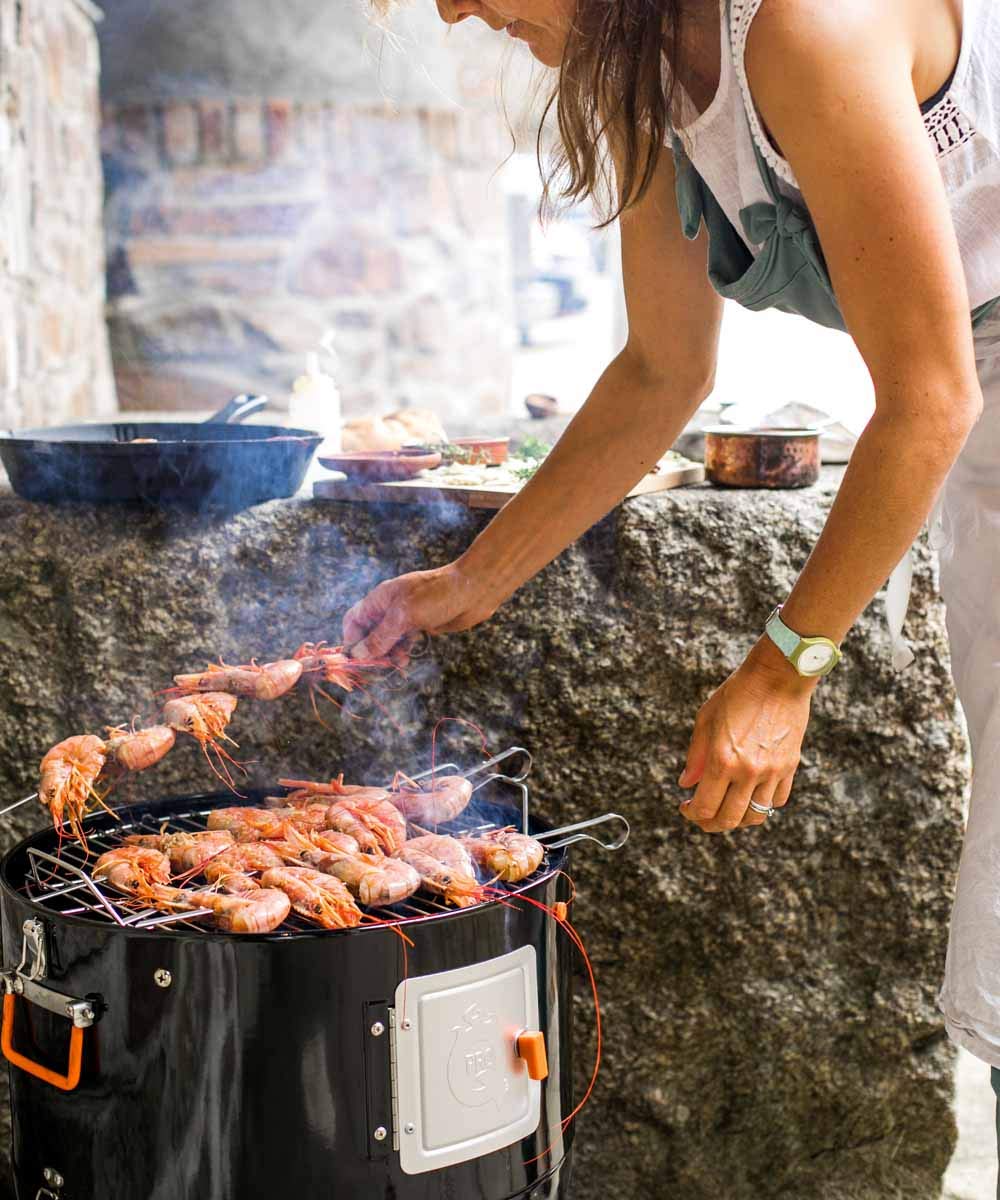 - ProQ BBQ Smoker | Frontier V4 | 4in1 Charcoal Meat Smoker BBQ | Outdoor Smokers and Grills -