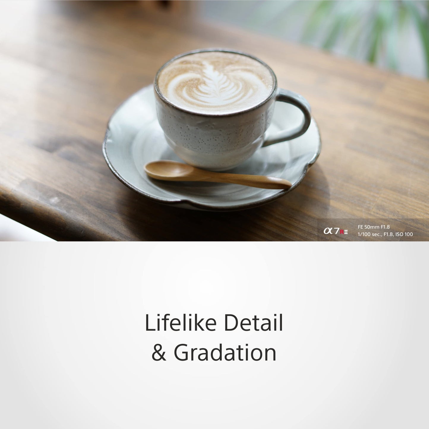 - Sony | E Mount Full Frame 50 mm F1.8 Prime Lens -