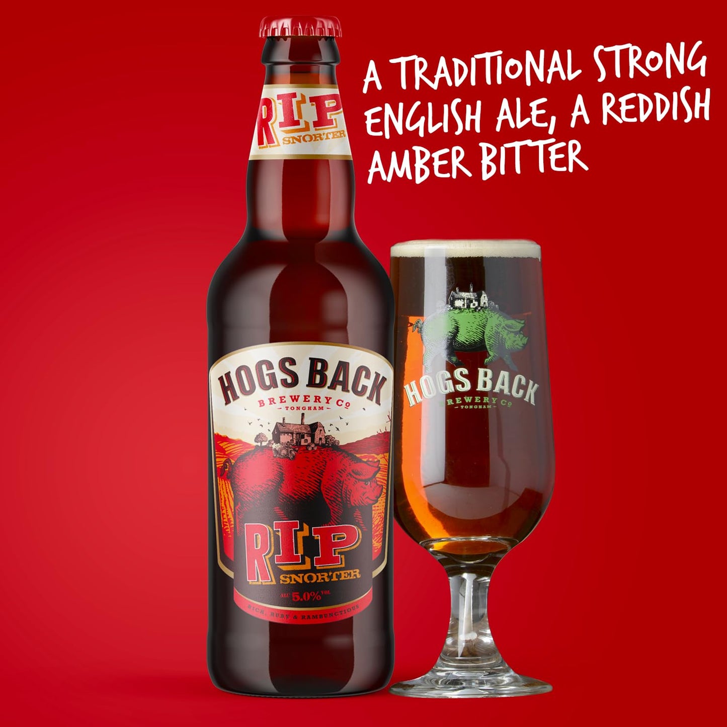 - HOGS BACK BREWERY | The Business Bottled Beer Gift Set | A Mixed Selection of Traditional Real Ales -