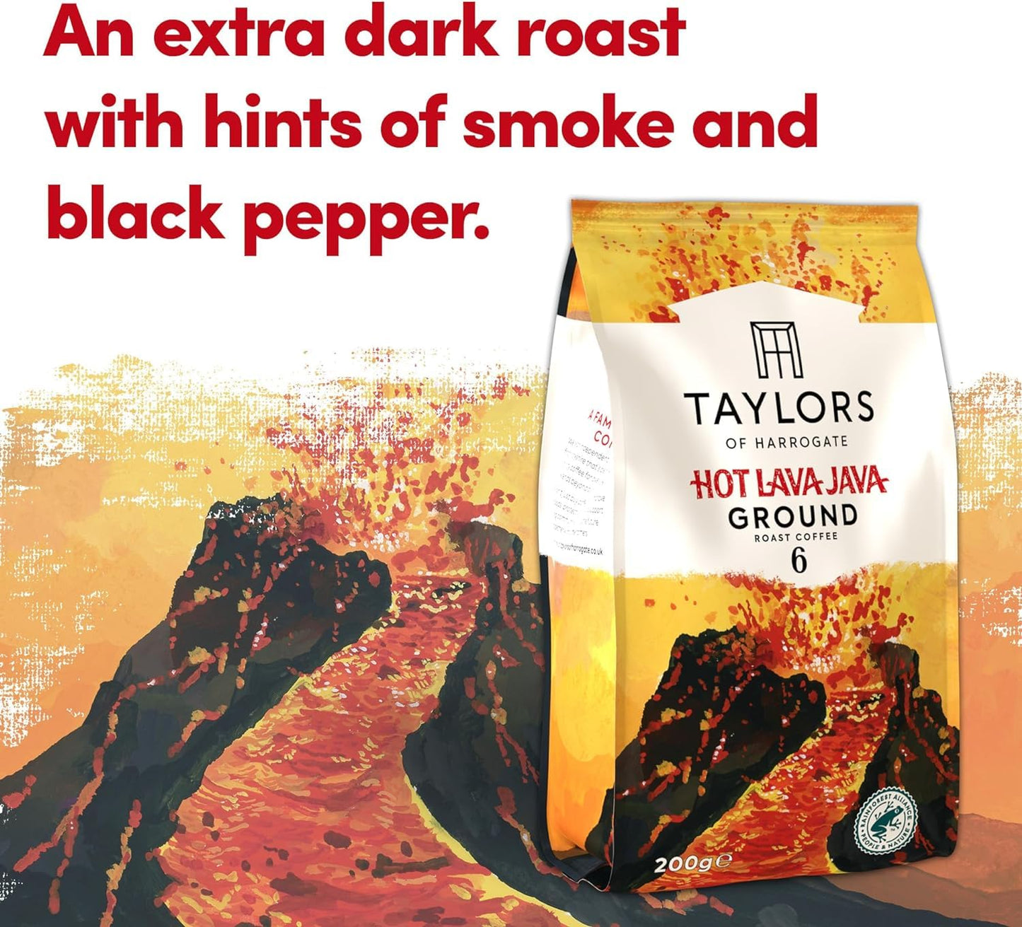 - Taylors of Harrogate Ground Coffee | (Each Pack 200g) | Pick Any 6 from 12+ Flavours -