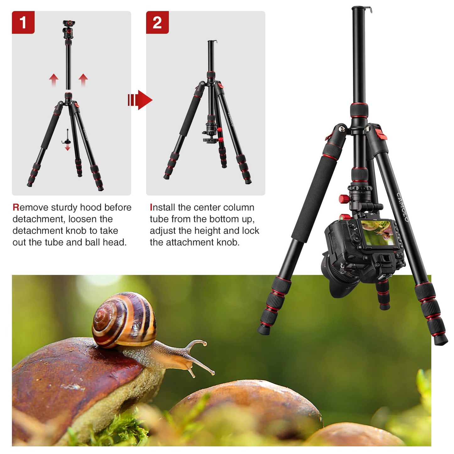 CAMOLO 75" Camera Tripod DSLR Tripod for Travel Aluminum Camera Tripod Monopod 360° Panorama Ball Head with Quick Release Plate Professional Tripod with Carry Bag Phone Mount w Cold Shoe 33 lbs Load
