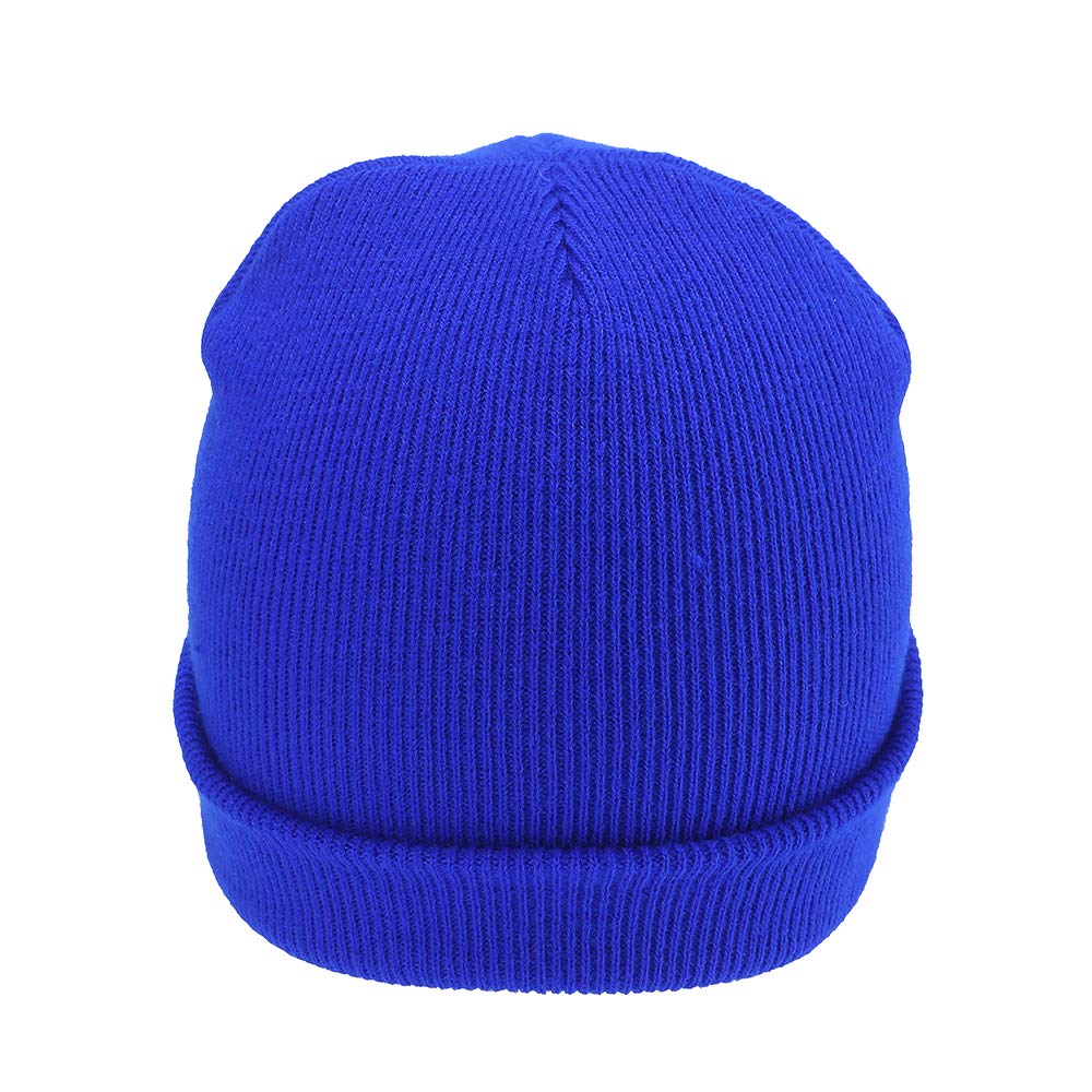 AYKRM 9 colors Hi Visibility Hat Beanie Hi-Vis Knitted Winter Hat (sapphire, 55-61cm)
