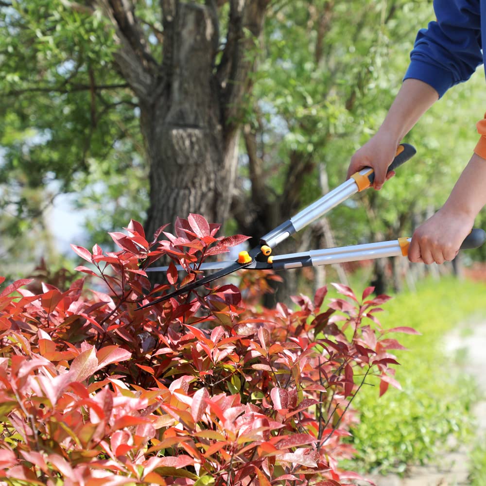 AIRAJ Lightweight Hedge Shears(600mm),with Ergonomic Lightweight Anti-Slip Handles and Razor-Sharp Blades,Professional Garden Shears for Hedges, Shrubs and Bushes - Easy Cutting and Trimming