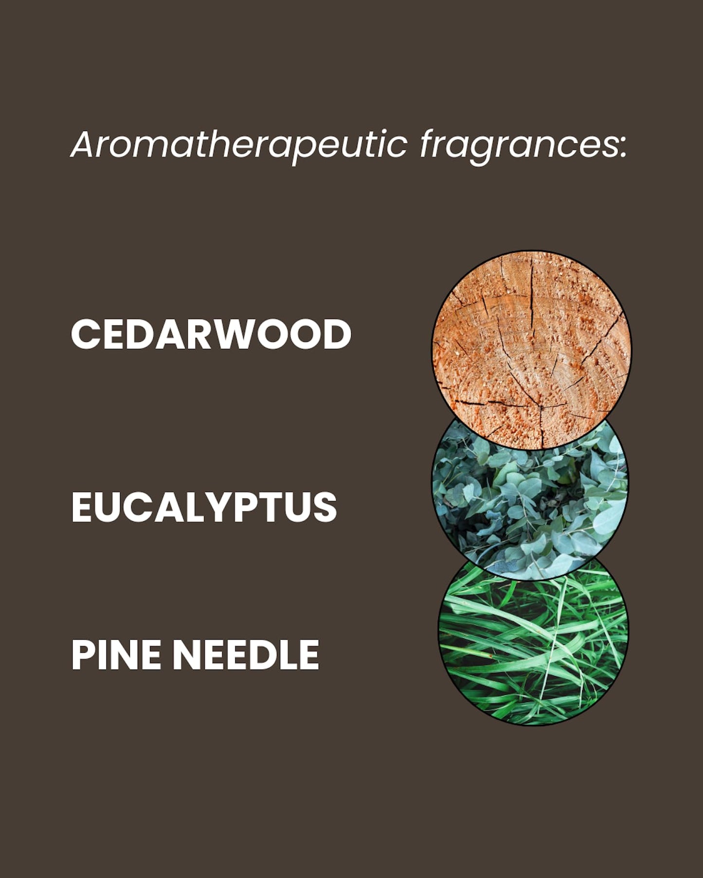 - ManCave Cedarwood Shower Gel 500ml for Men | Fresh & Wood Aroma -