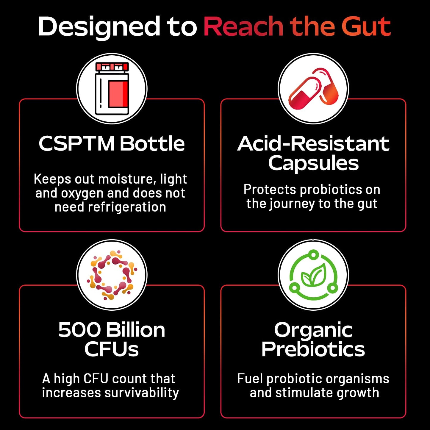 - Probiotic for Men | 500 Billion CFU 12 Strains -