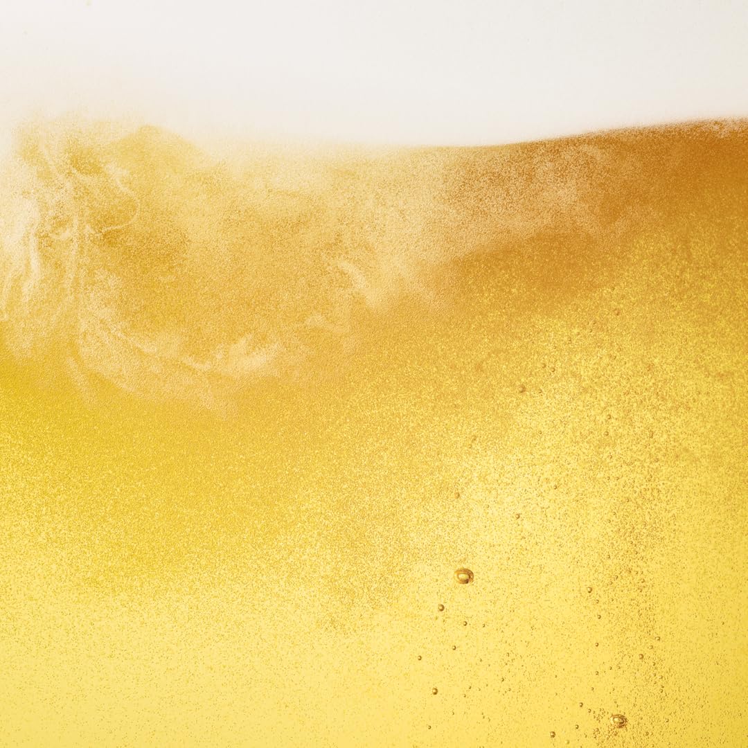 BrewDog Lost Lager Can, 10 x 440ml