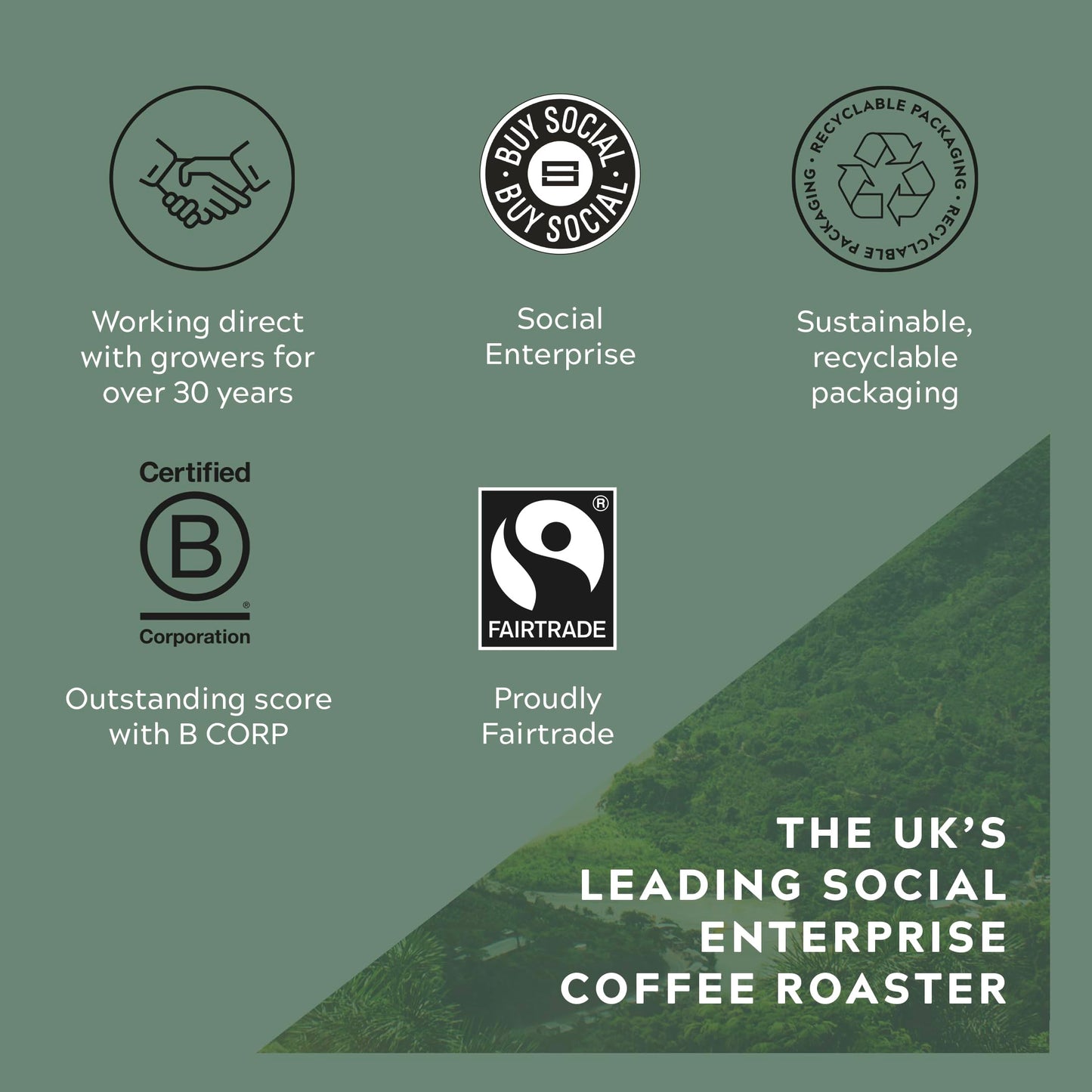 Cafédirect Thrive Intense Roast Fairtrade Ground Coffee 227 g (Pack of 6)