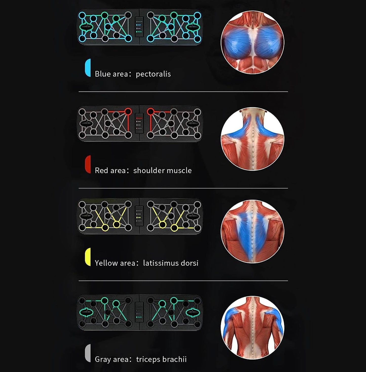 - Top Drawer Selection | 17 in 1 Push Up Board -
