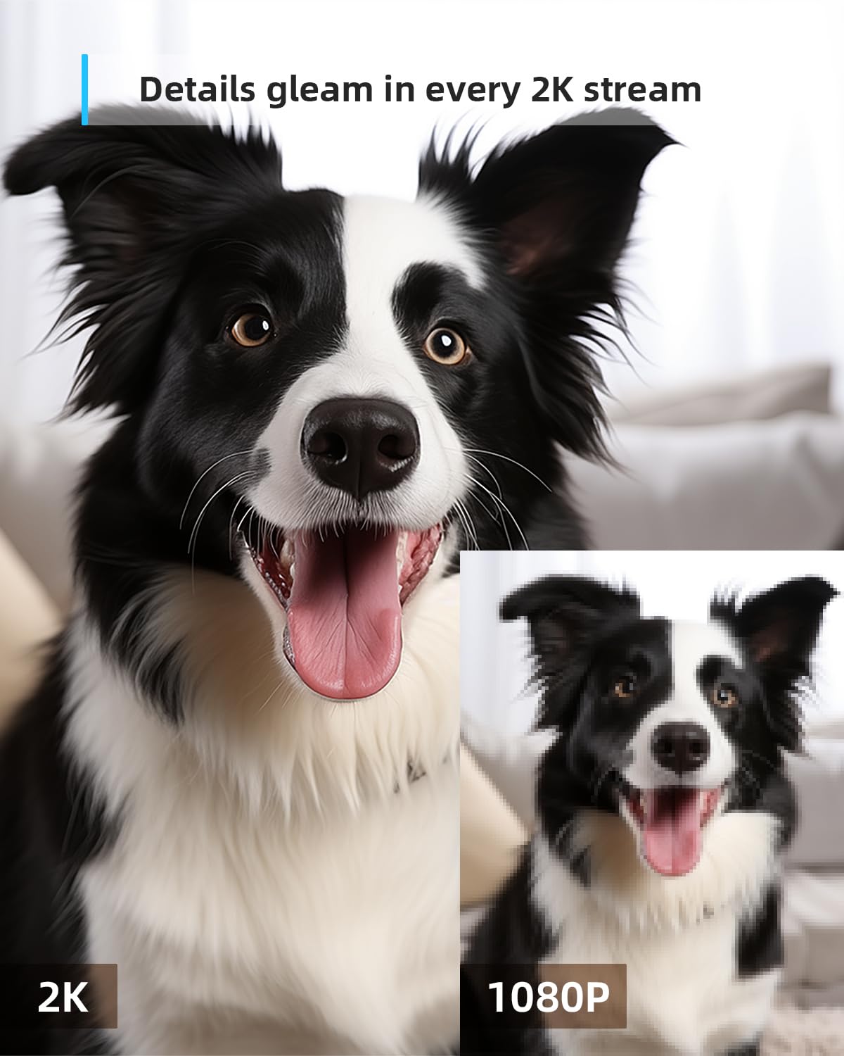 blurams Pet Camera 2K, Indoor Camera, Dog Camera, 360° Home Security Camera, WiFi Baby Monitor, Night Vision, Motion Tracking, 2-Way Talk, Cloud&SD, APP Control, Works with Alexa(2.4GHz Only)