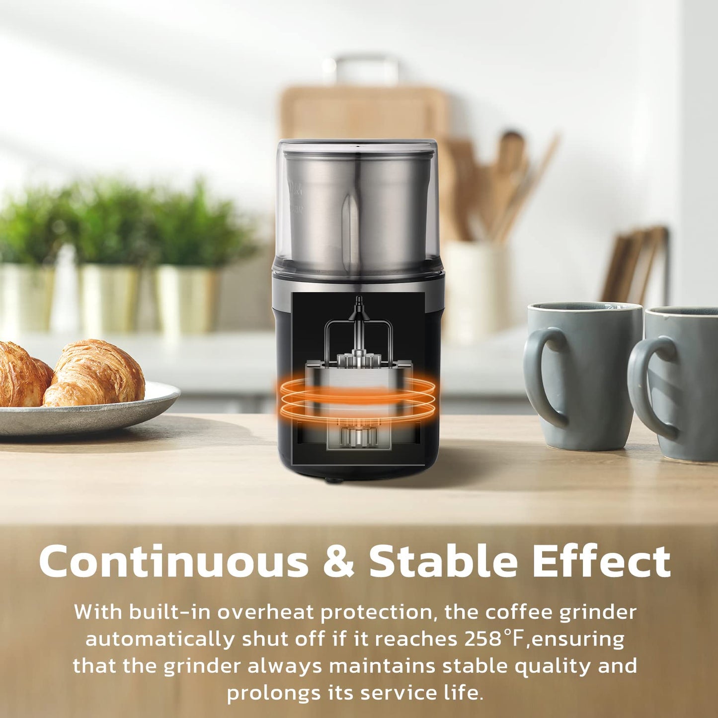 - KYG Coffee Grinder | Electric Grinder for Seeds, Herb, Nuts -