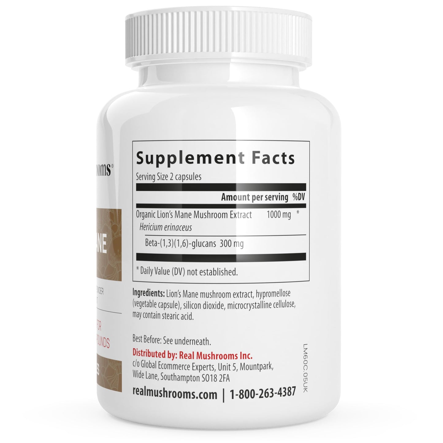 - Lions Mane Brain and Focus Supplements | Mushroom Powder Extract Capsules | Non GMO and Gluten Free Supplement -