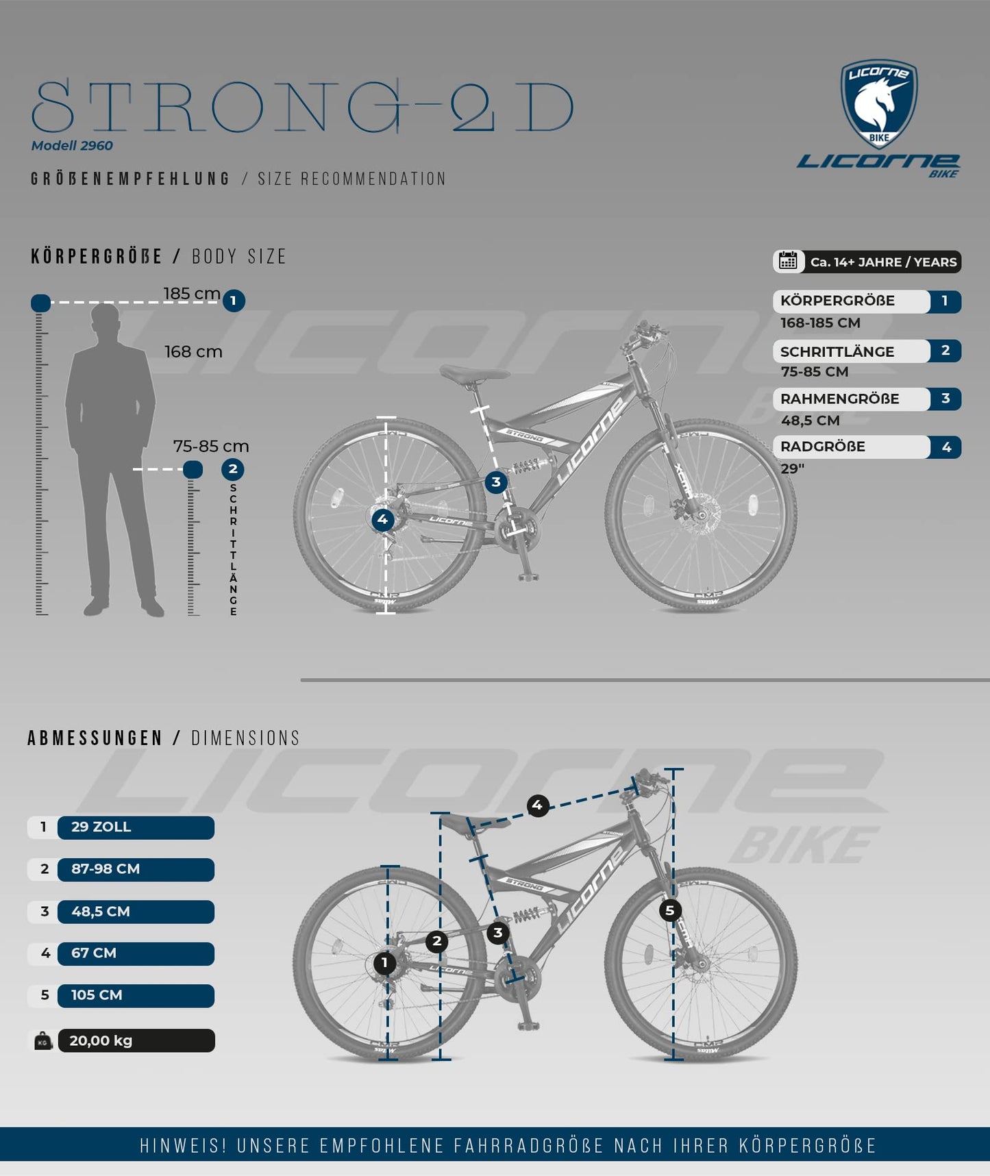 - Licorne Bike Strong D 29 Inch Mountain Bike Fully | Suitable from 150 cm | Front and Rear Disc Brake | Shimano 21 Speed Gears -