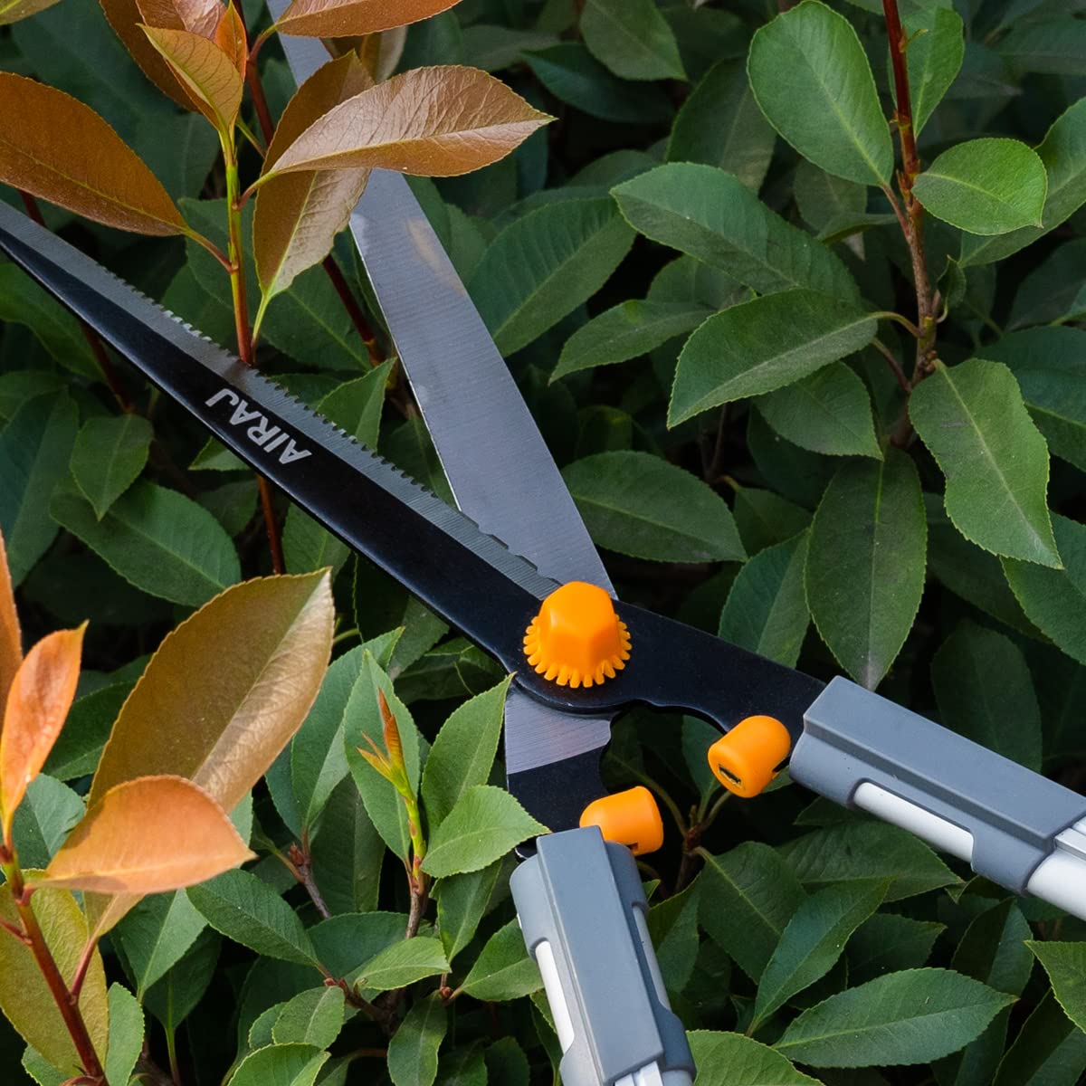 AIRAJ Lightweight Hedge Shears(600mm),with Ergonomic Lightweight Anti-Slip Handles and Razor-Sharp Blades,Professional Garden Shears for Hedges, Shrubs and Bushes - Easy Cutting and Trimming