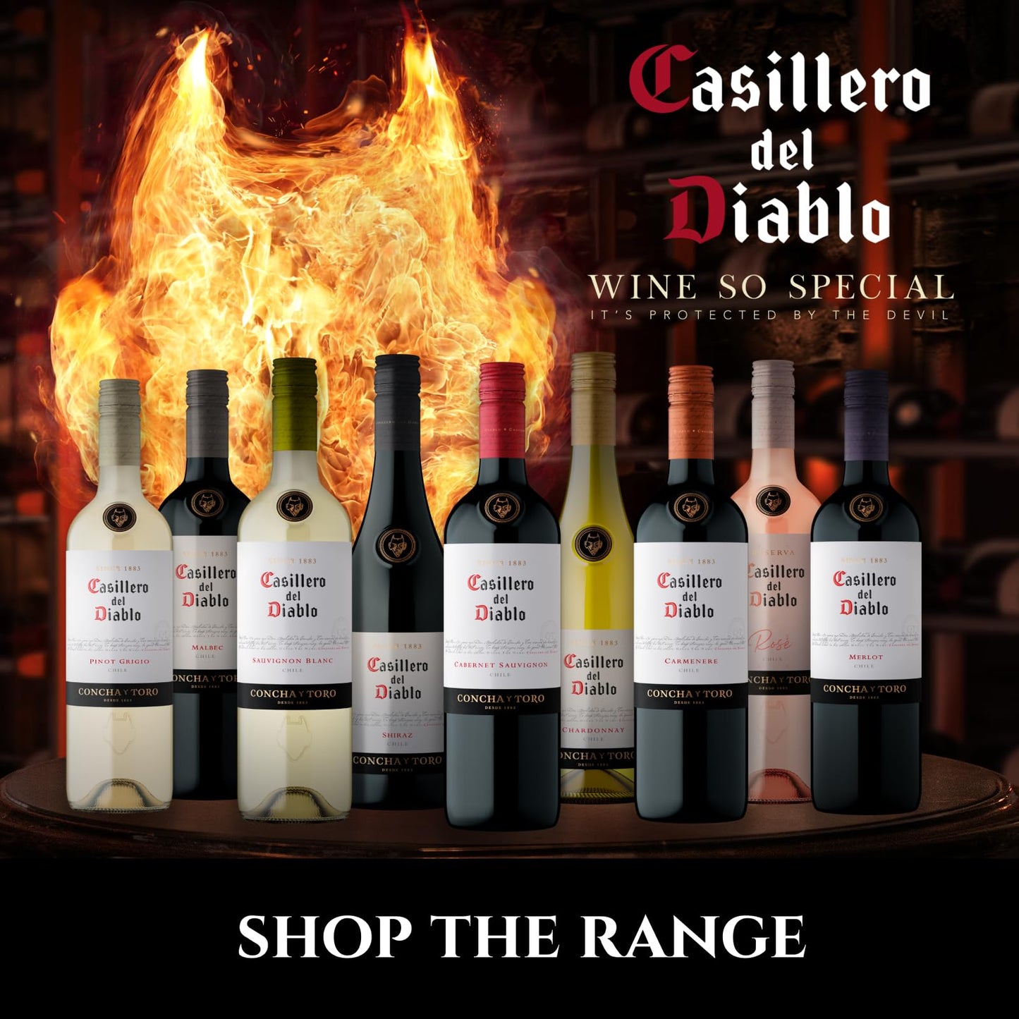 Casillero del Diablo Sauvignon Blanc White Wine | Chile, Fresh & Fruity (Case of 6 x 75cl)