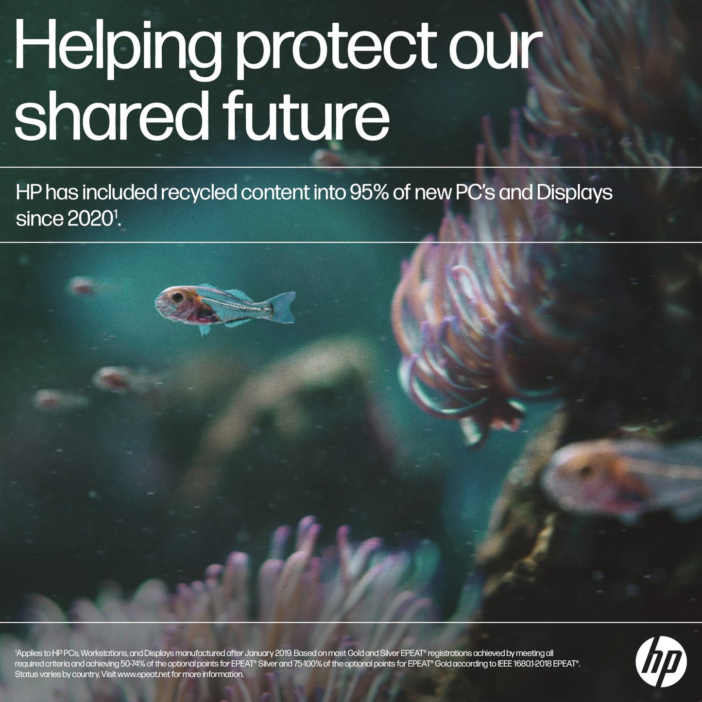 - HP 24 Inch FHD Monitor | M24f | Full HD IPS LED Display | Ultraslim | Tilt Adjustable | 75hz Refresh Rate | 5ms Response Time -