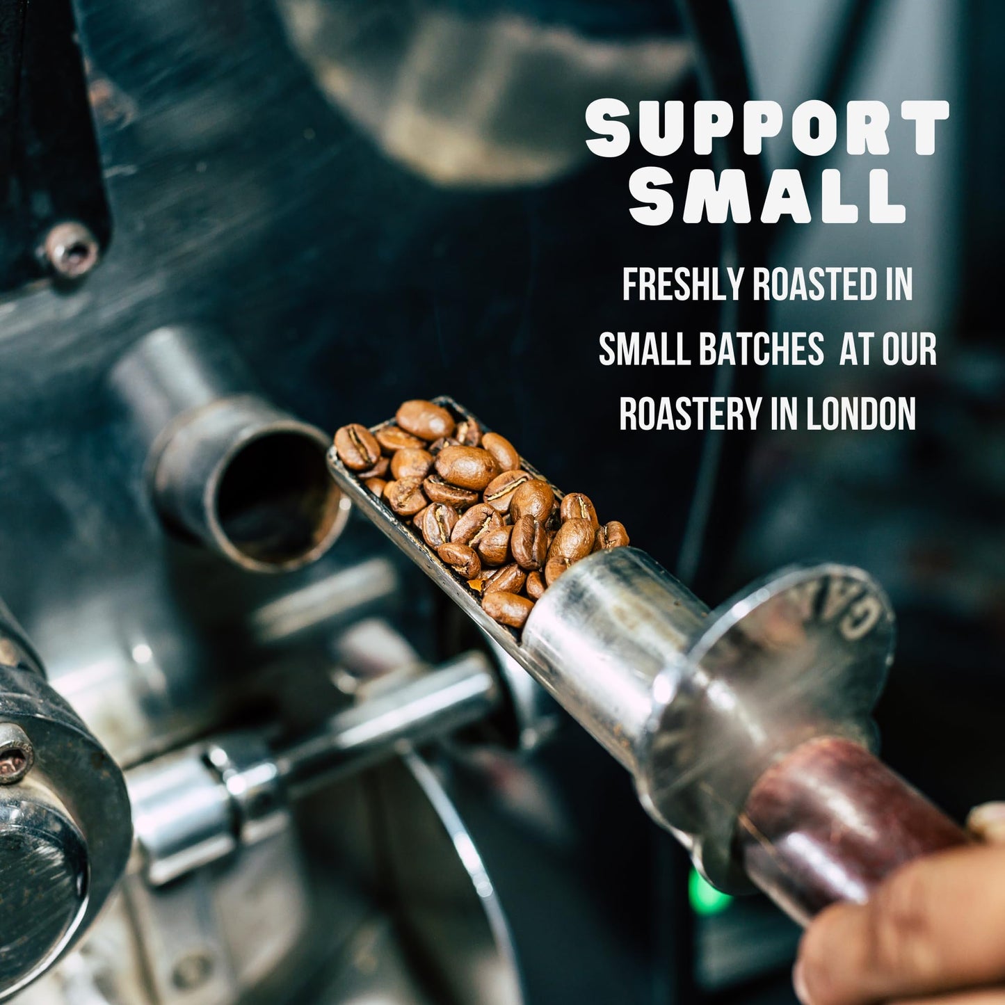 Counter Coffee | Mexican Decaf Whole Beans | Chemical-Free Decaffeinated | 100% Arabica Beans Medium Roasted | Rainforest Alliance Certified | Perfect for Afternoons | 1KG Whole Bean