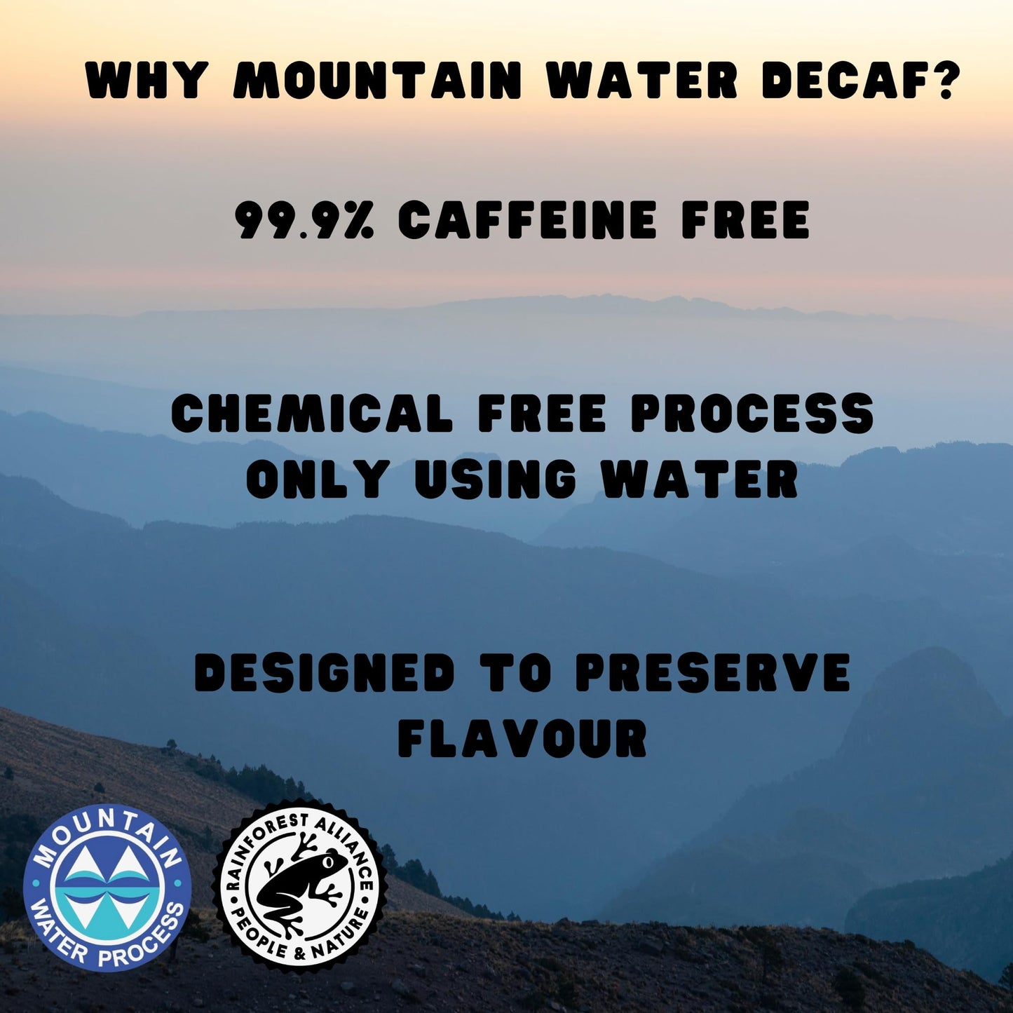Counter Coffee | Mexican Decaf Whole Beans | Chemical-Free Decaffeinated | 100% Arabica Beans Medium Roasted | Rainforest Alliance Certified | Perfect for Afternoons | 1KG Whole Bean