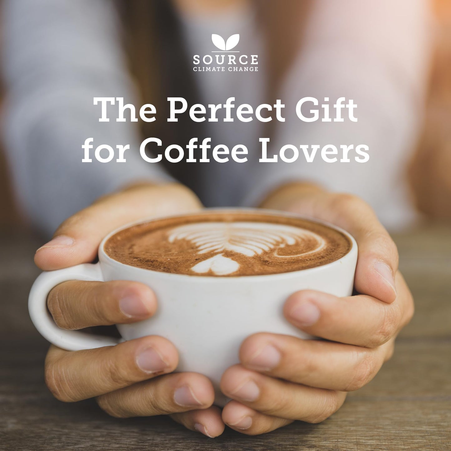 - Organic Ground Coffee | Single Origin | Award-Winning Medium & Dark Roast | Coffee Gift Set -