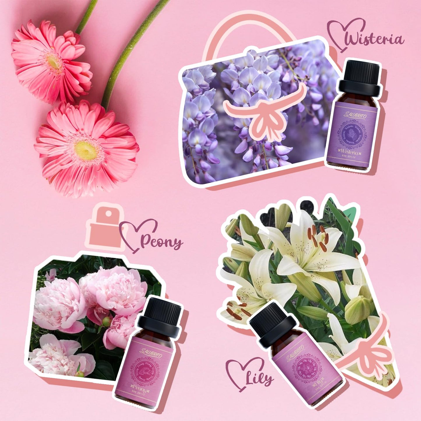 - SALUBRITO Woman Essential Oils Set | Gift for Ladies -
