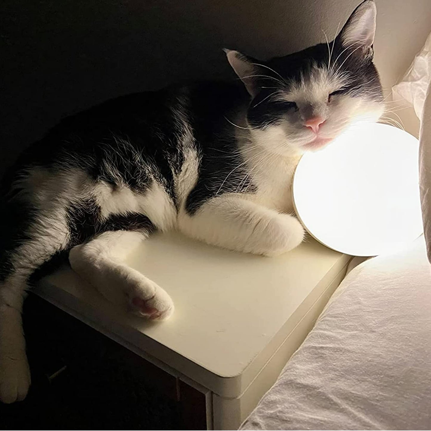 - Smart Table Lamp | Dimmable Desk Lamp | App/Voice Control -