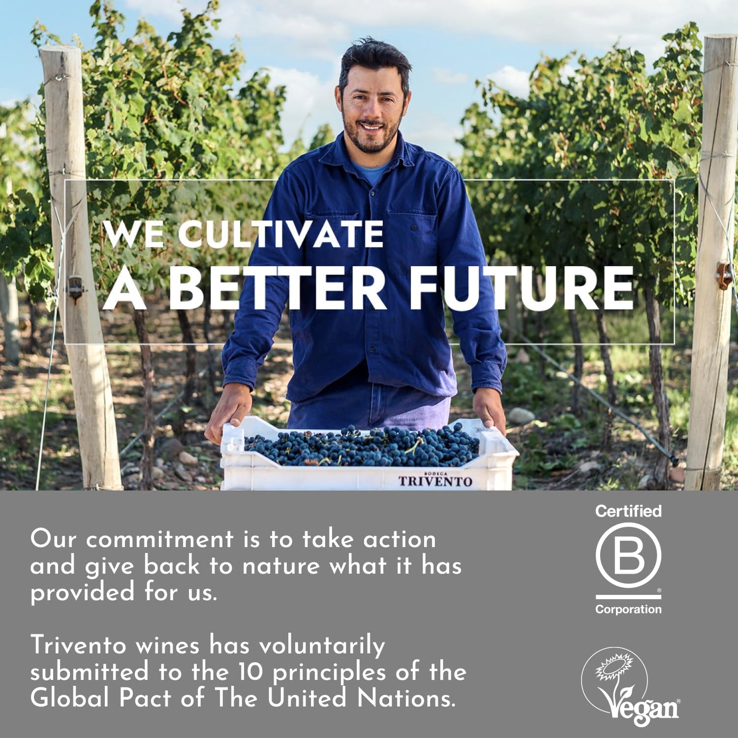 - Trivento | Reserve Malbec Red Wine | Argentina | Sweet & Velvety, (6 x 75cl) -