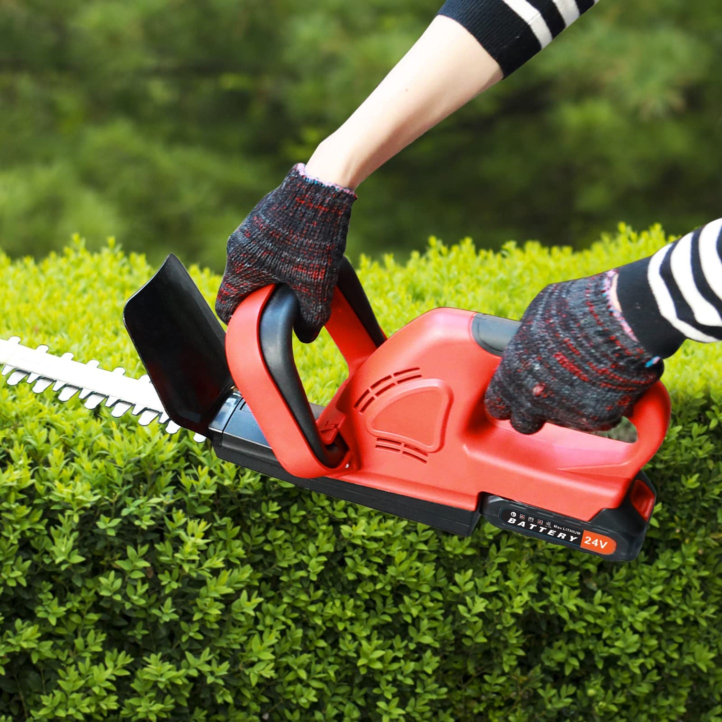 - Shienfir Cordless Hedge Trimmer | 21V Electric Hedge Trimmer | 15mm Tooth Spacing | 800W | Electric Cordless Hedge Trimmer -