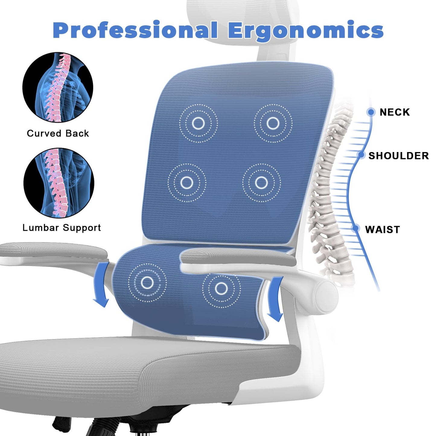 - naspaluro Office Chair | Ergonomic Office Chair with Lumbar Support | High Back -