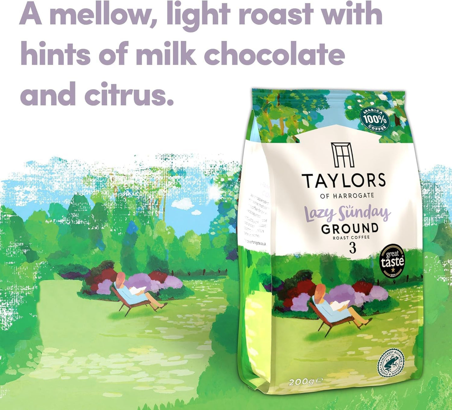 - Taylors of Harrogate Ground Coffee | (Each Pack 200g) | Pick Any 6 from 12+ Flavours -