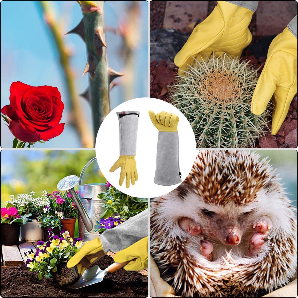 - Gardening Gloves | Heavy Duty Gardening Gloves Thorn Proof -