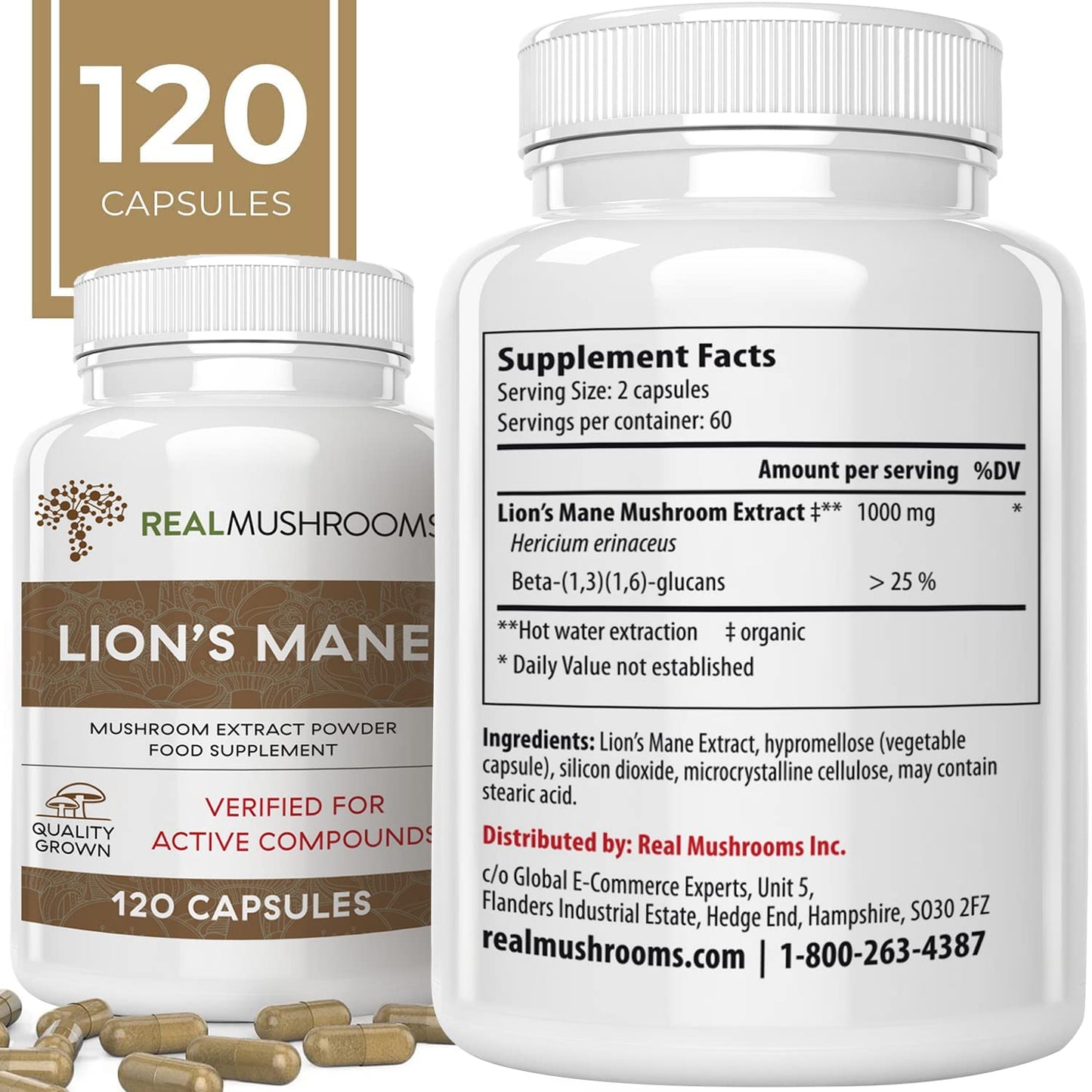 - Lions Mane Brain and Focus Supplements | Mushroom Powder Extract Capsules | Non GMO and Gluten Free Supplement -