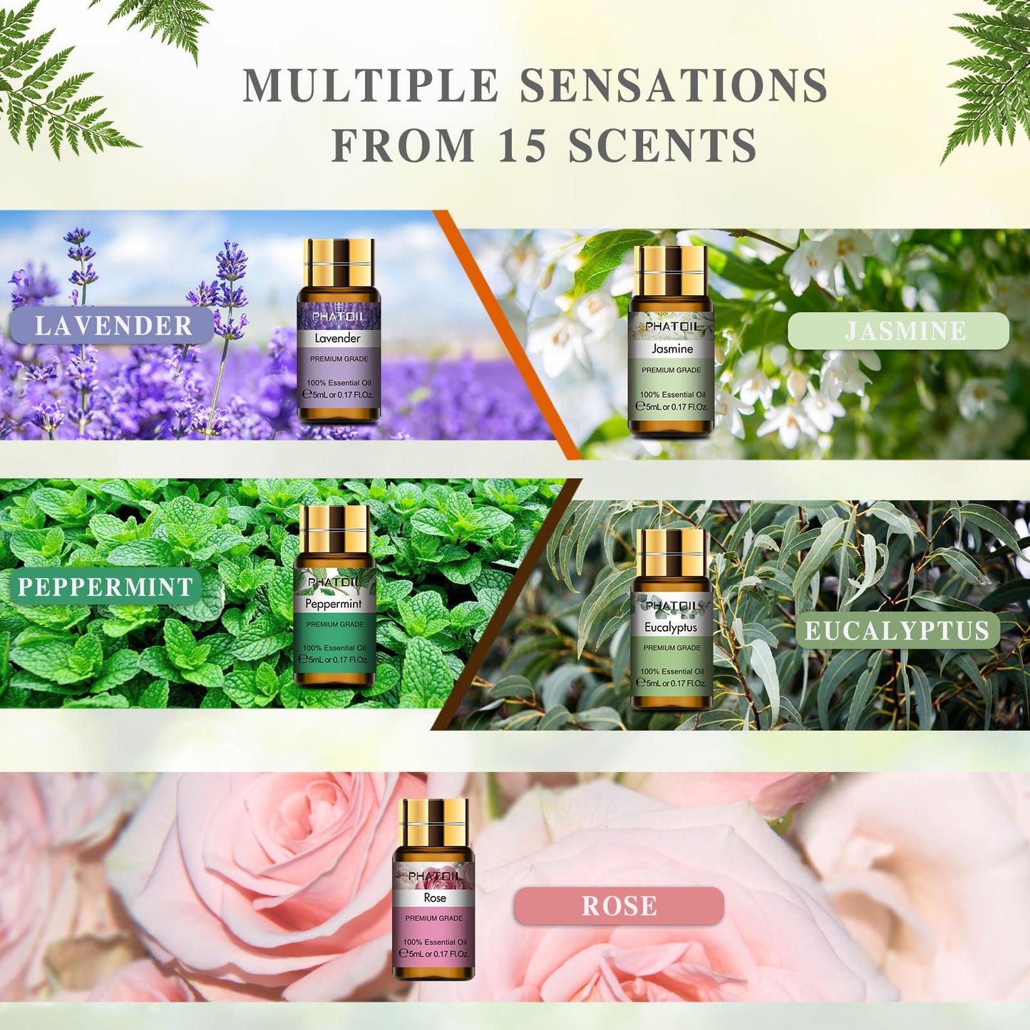 - PHATOIL Essential Oils Set (15Pcs Oils | Pure Lavender,Eucalyptus,Jasmine,Lemongrass,Sweet Orange,Sandalwood,Peppermint,Vanilla,Rose,Lemon,Ylang Ylang,Chamomile,Tea Tree,Cinnamon,Rosemary