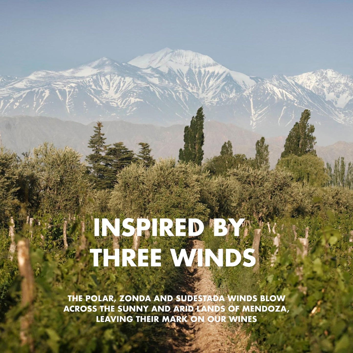 - Trivento | Reserve Malbec Red Wine | Argentina | Sweet & Velvety, (6 x 75cl) -